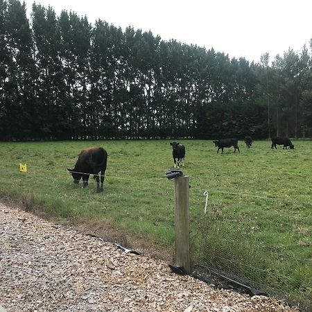 Brookside Country Escape 40 Minutes To Chc Airport Hotel Leeston Exterior photo