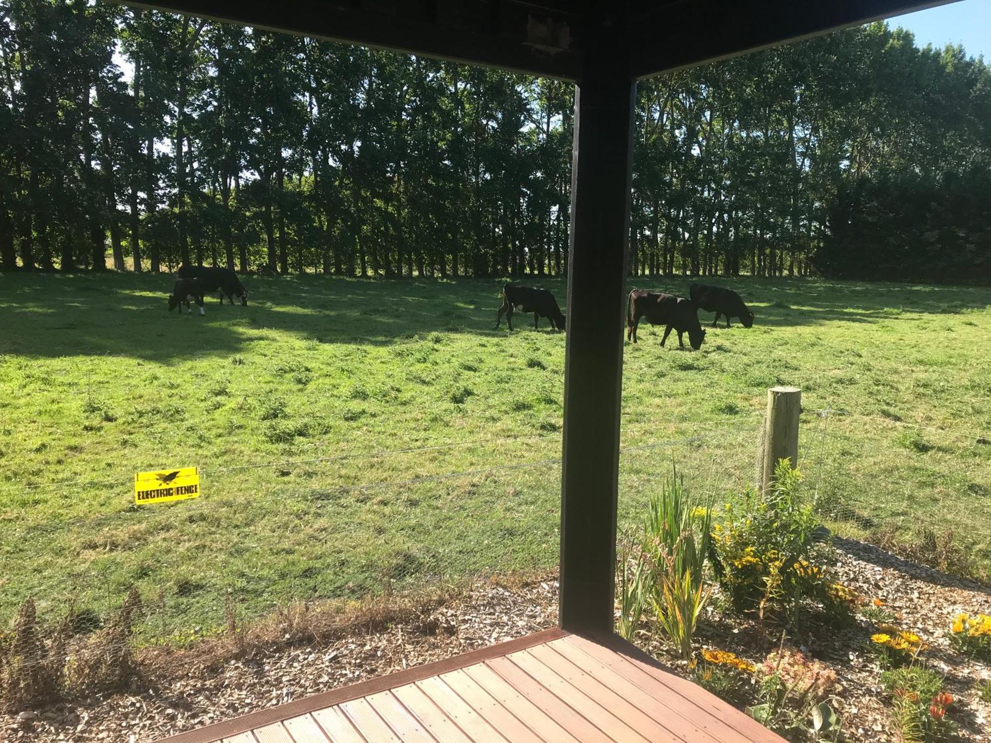 Brookside Country Escape 40 Minutes To Chc Airport Hotel Leeston Exterior photo