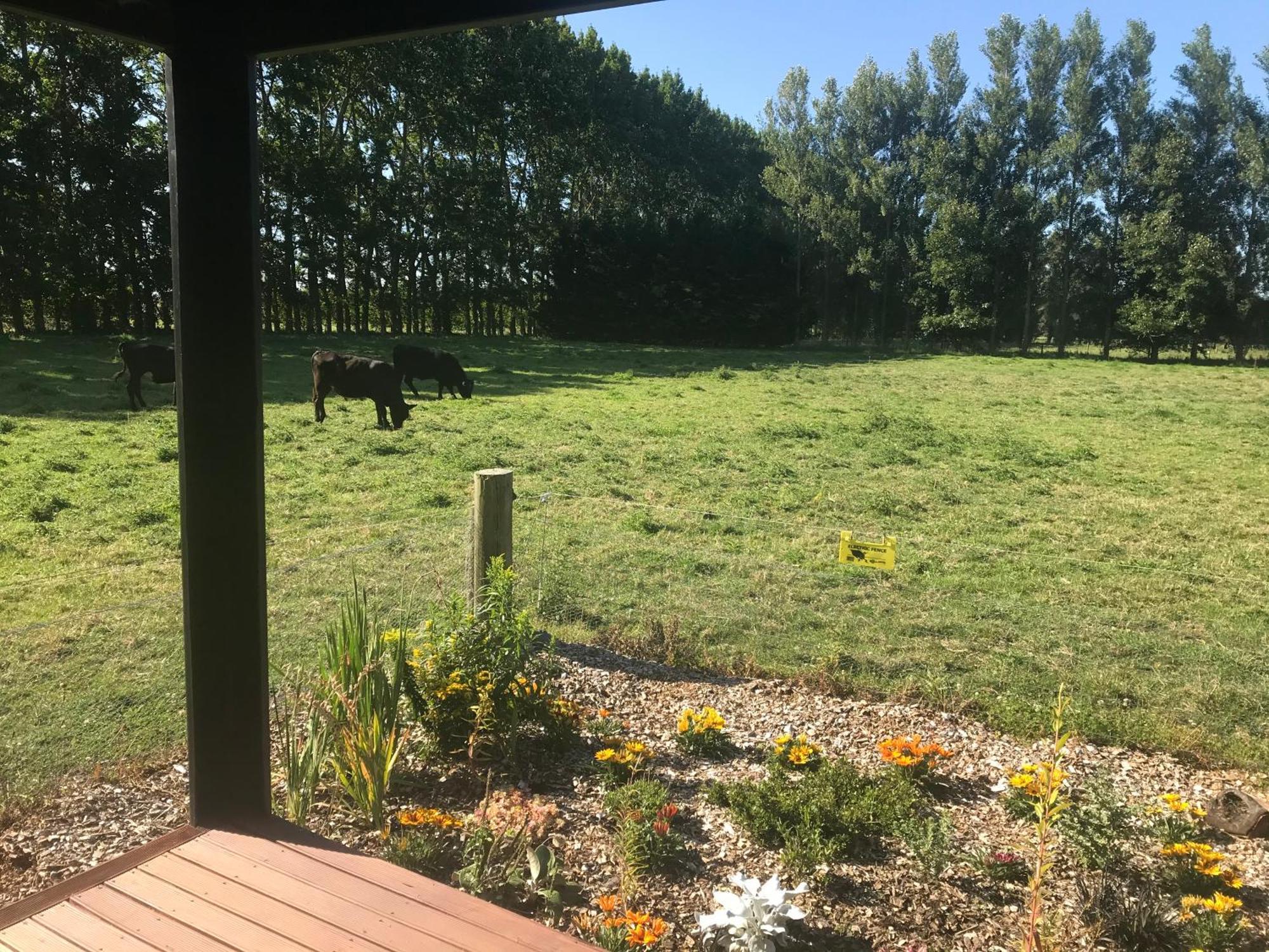 Brookside Country Escape 40 Minutes To Chc Airport Hotel Leeston Exterior photo